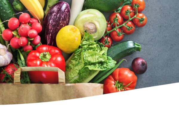 Vielfältiges frisches Gemüse in einer Papiertüte, darunter Karotten, Paprika, Tomaten, Zucchini und Aubergine