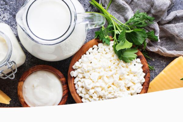 Verschiedene Molkereiprodukte wie Milch, Sahne, Frischkäse und Hartkäse