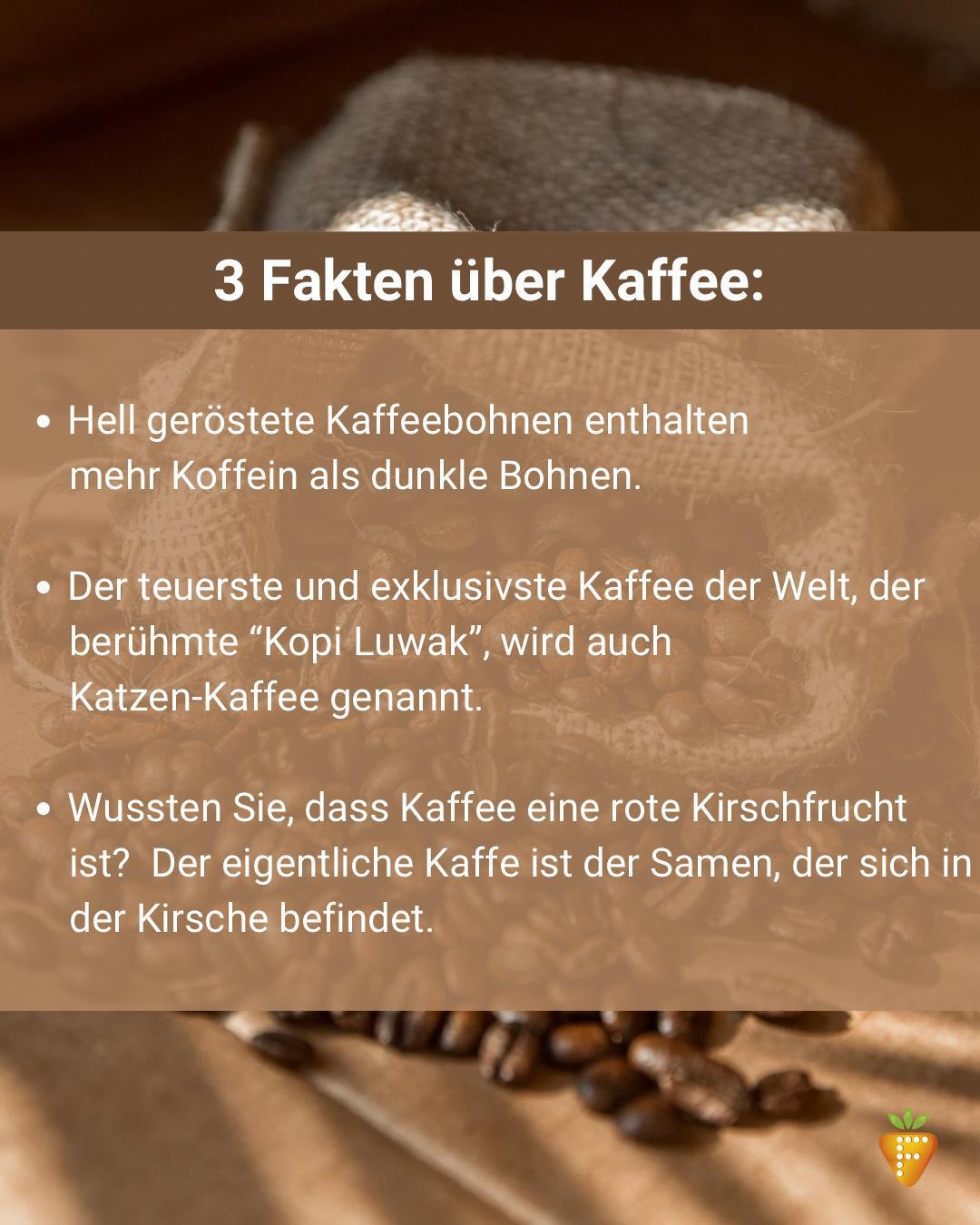 Hintergrundbild mit Kaffeebohnen in einem Jutesack, darüber ein Textfeld mit drei interessanten Fakten über Kaffee.