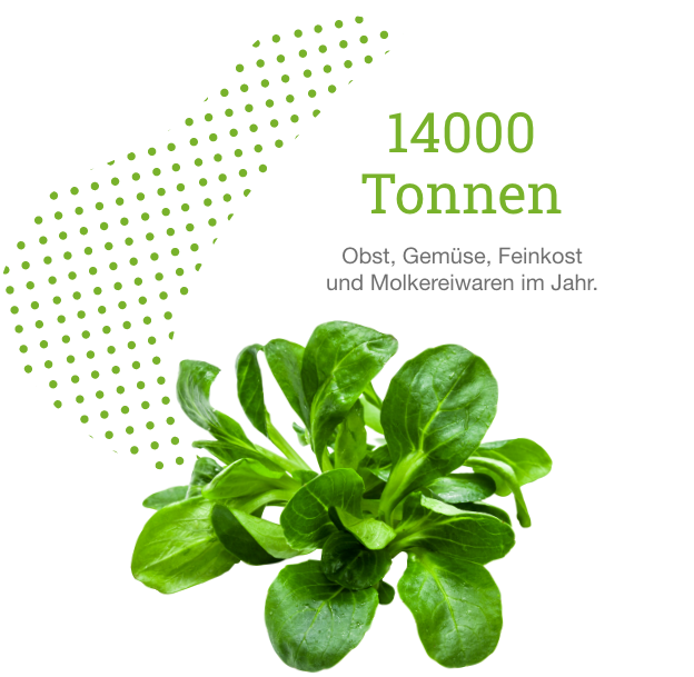 Grafik mit Feldsalat und Text „14.000 Tonnen Obst, Gemüse, Feinkost und Molkereiwaren im Jahr“