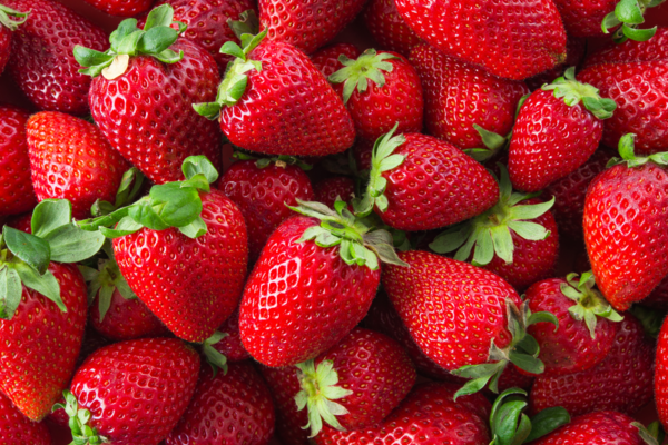 Nahaufnahme von frischen, roten Erdbeeren mit grünem Stiel